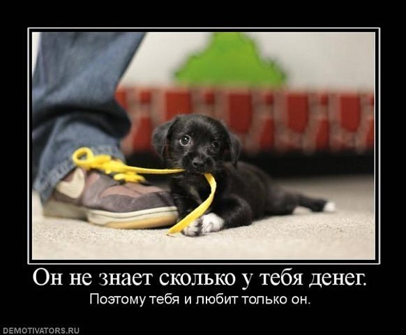http://cs9491.vkontakte.ru/u56810494/114473754/x_4ab0cabe.jpg