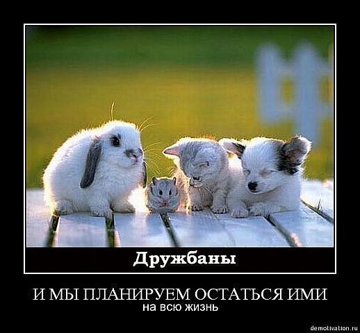 http://cs9491.vkontakte.ru/u56810494/114473754/x_dbb2242f.jpg